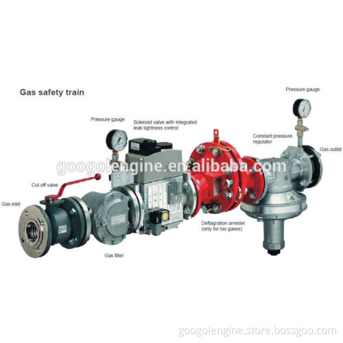 Googol HGGM250 Gas Generator for Sale